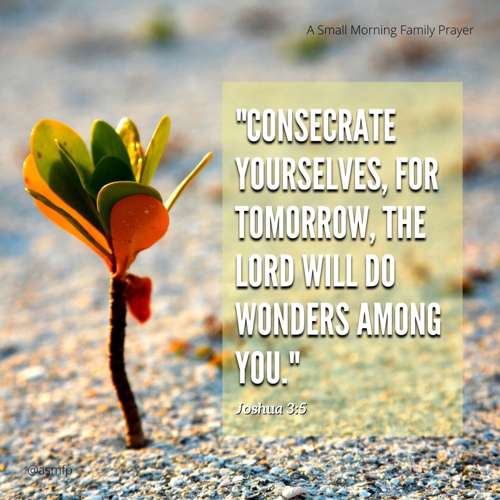 THE LORD WILL DO&nbsp;WONDERS