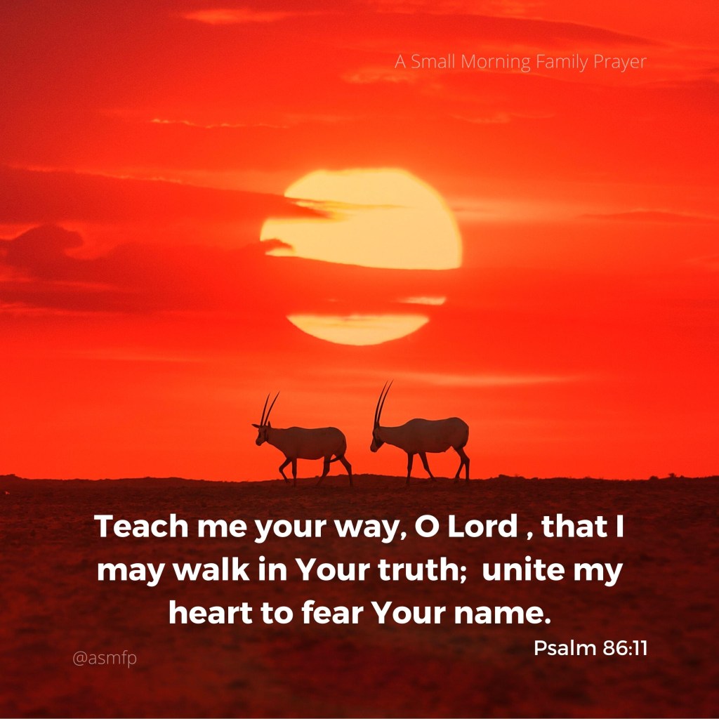 FEAR THE LORD TO PROLONG&nbsp;LIFE