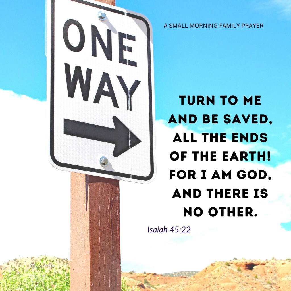 THE LORD, OUR ONLY&nbsp;SAVIOUR