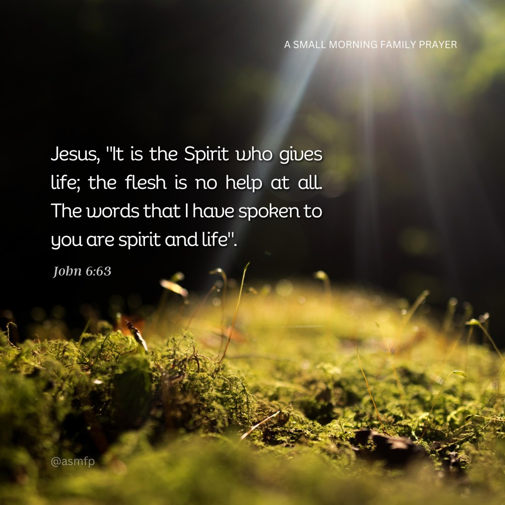 HIS WORDS ARE SPIRIT &&nbsp;LIFE