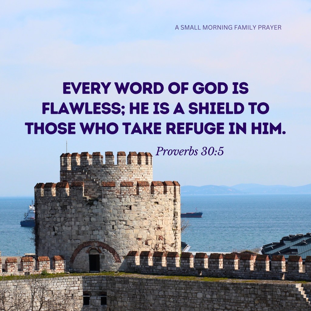 OUR LORD’S WORD IS FLAWLESS & A LIVING WORD.