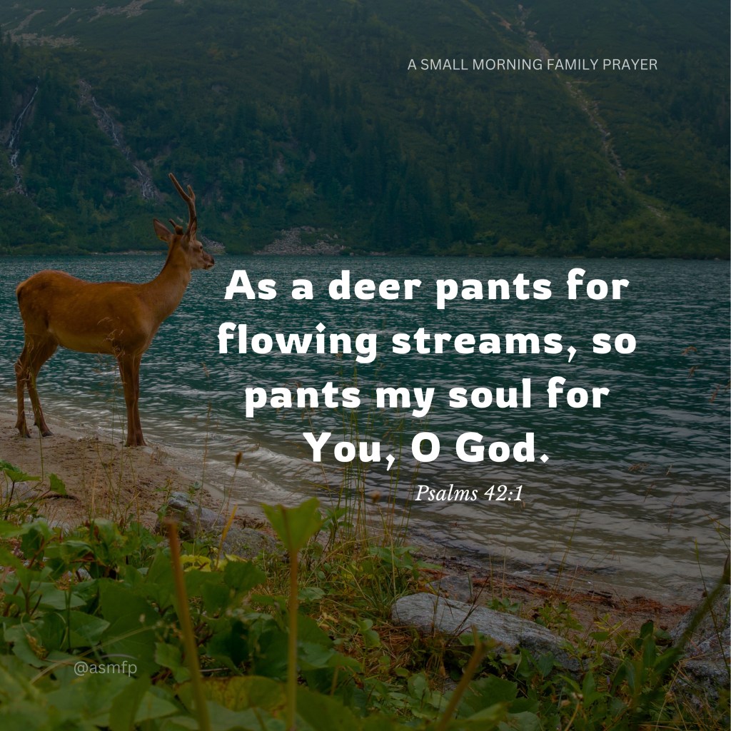 THE PEACE OF GOD WILL GUARD OUR HEARTS & MINDS IN&nbsp;CHRIST