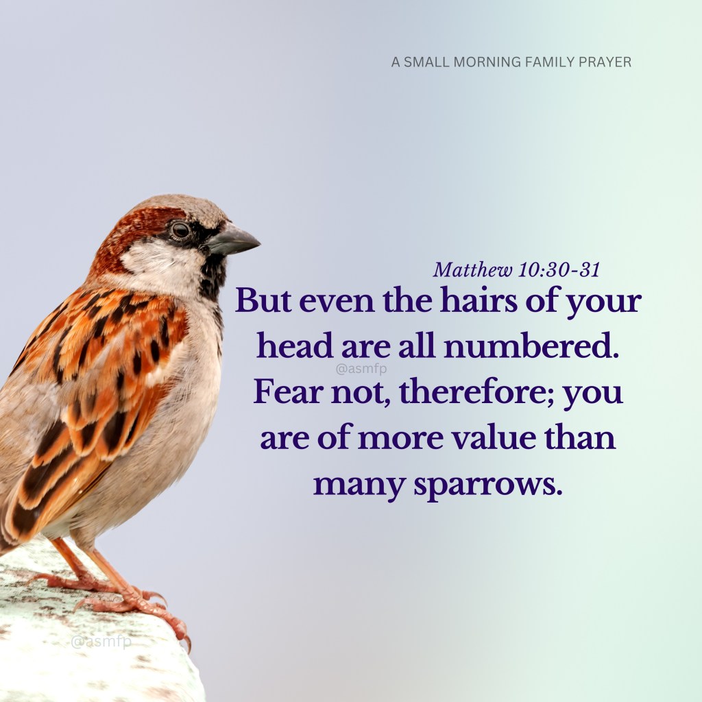 WE ARE OF MORE VALUE THAN MANY&nbsp;SPARROWS.