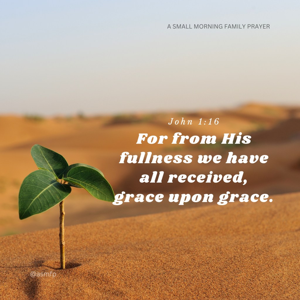 WE HAVE RECEIVED GRACE UPON&nbsp;GRACE.