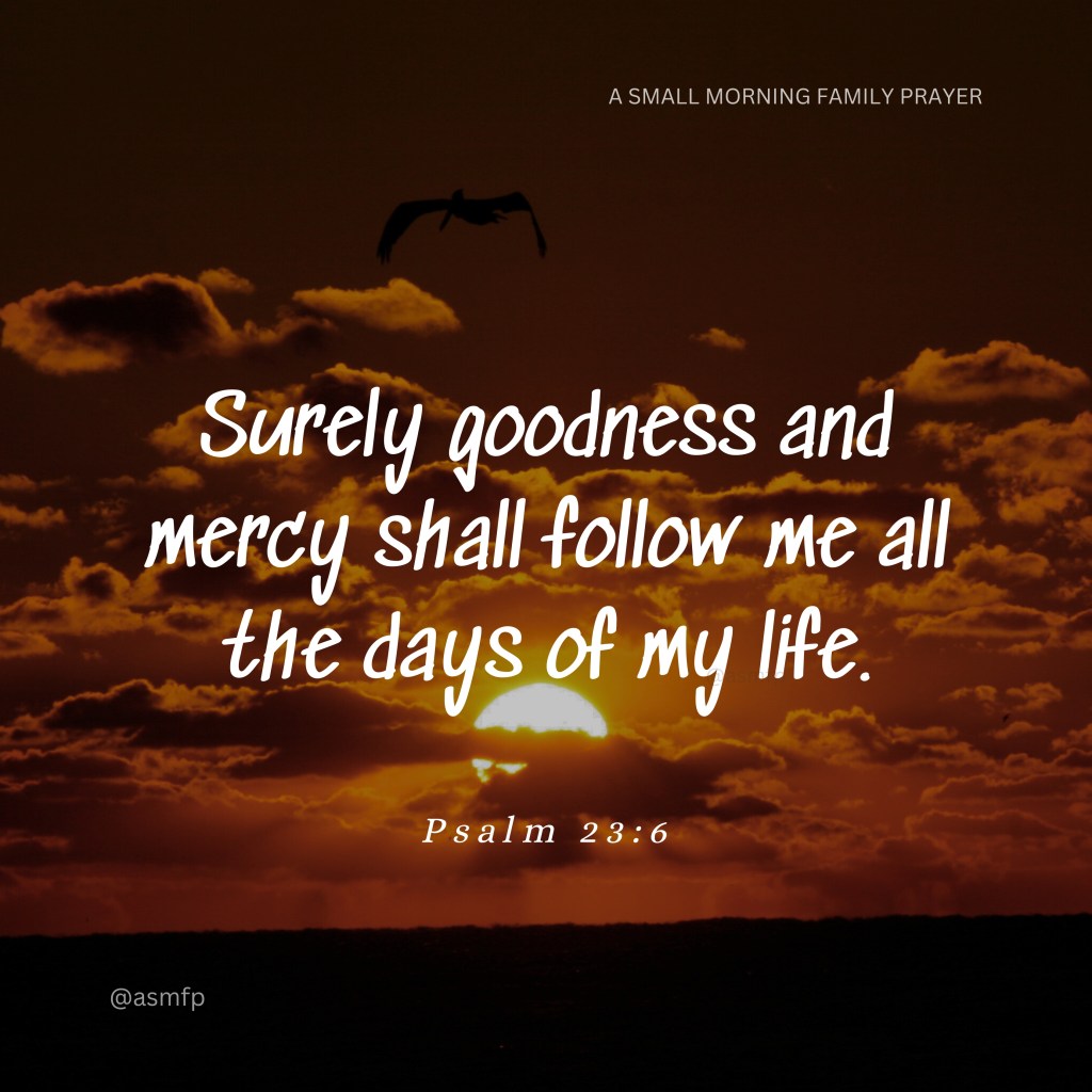 OUR LORD WILL COVER US UNDER HIS&nbsp;PINIONS