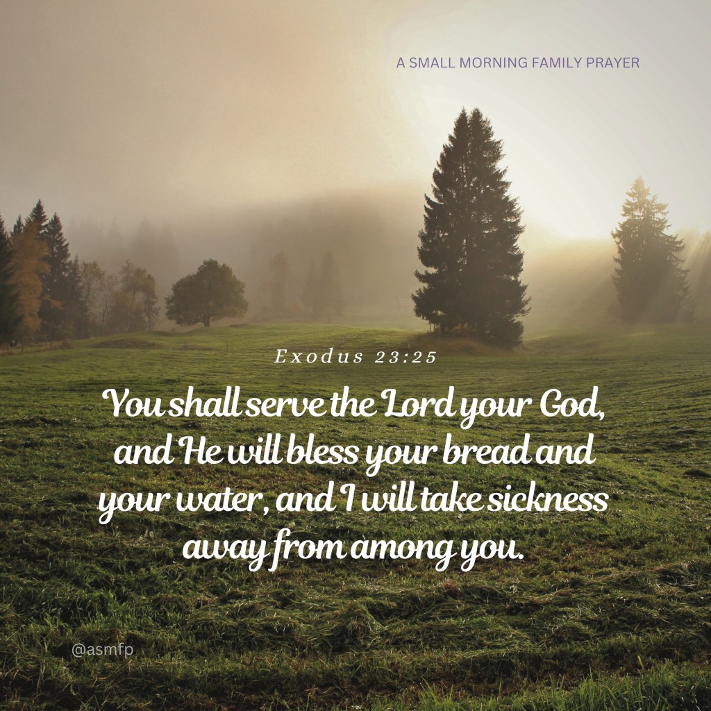 OUR LORD WILL HEAL & REVEAL HIS ABUNDANCE OF PEACE &&nbsp;TRUTH