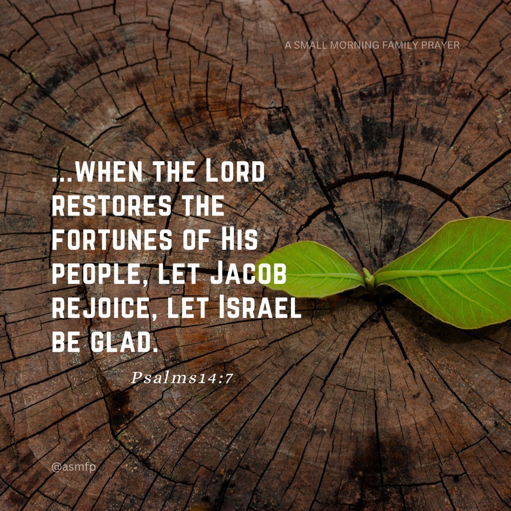 THE LORD GOES BEFORE&nbsp;YOU