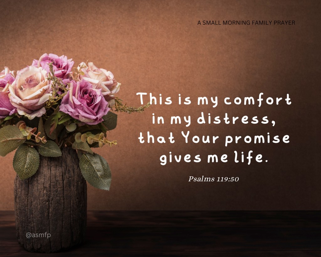 WE ARE SAVED BY HIS&nbsp;GRACE