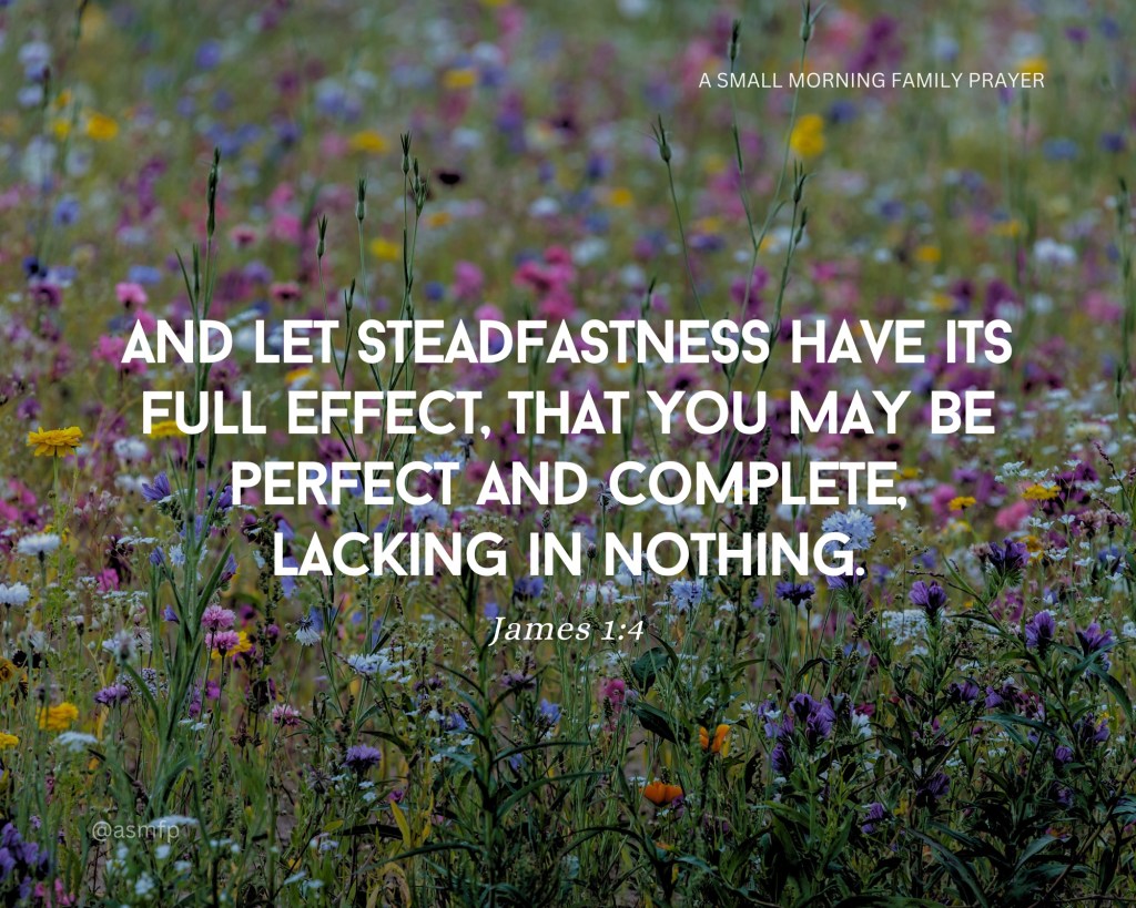 TESTING OF OUR FAITH PRODUCES&nbsp;STEADFASTNESS