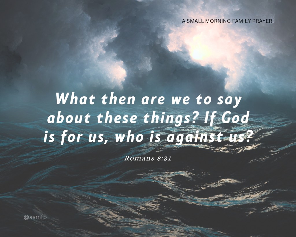 FEAR NOT. GOD IS FOR US. WE ARE OF MORE VALUE THAN MANY SPARROWS