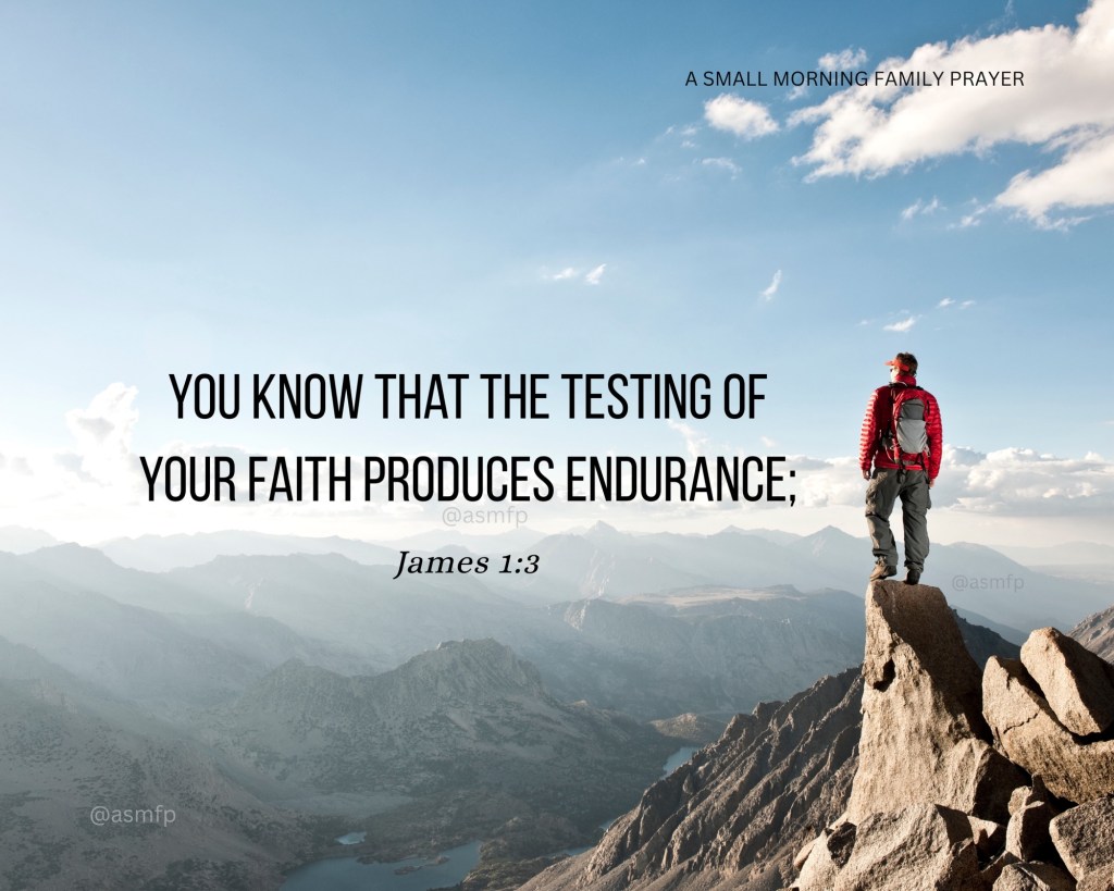 ANCHORED IN HIS&nbsp;PROMISE