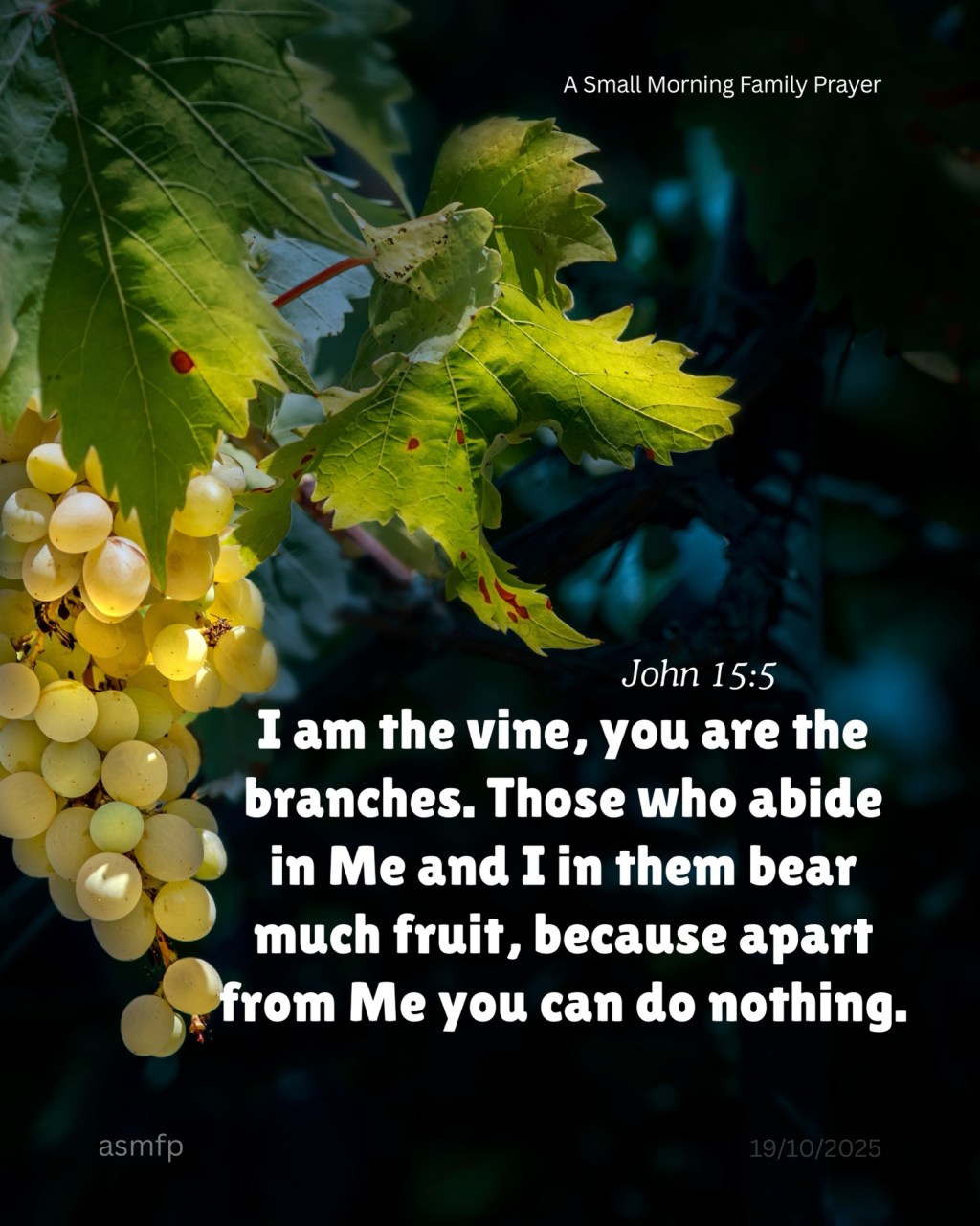 ABIDE IN HIM. HE IS OUR TRUE VINE. WITHOUT HIM WE CAN DO NOTHING&nbsp;.