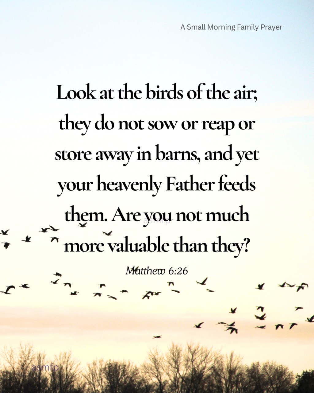 FEAR THE LORD. FOR, WE ARE OF MORE VALUE THAN MANY&nbsp;SPARROWS.