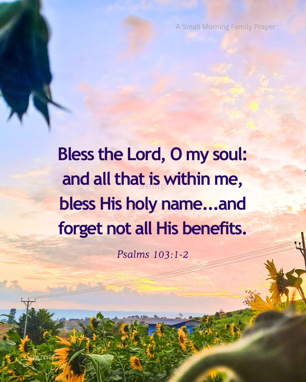 DO NOT FORGET ALL HIS BENEFITS. IT IS HE WHO PRESERVES&nbsp;US