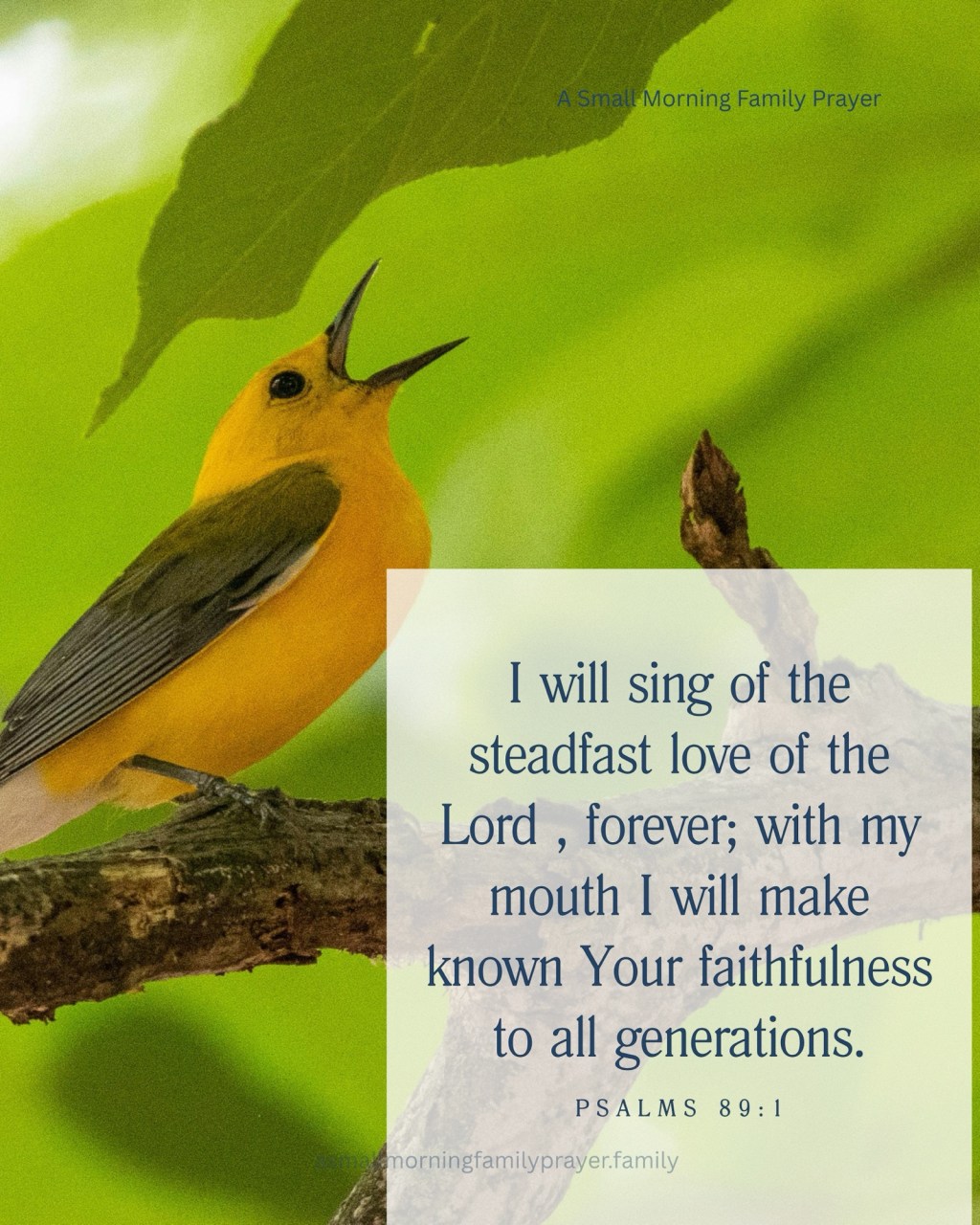 THE LORD WILL ESTABLISH OUR OFFSPRING&nbsp;FOREVER