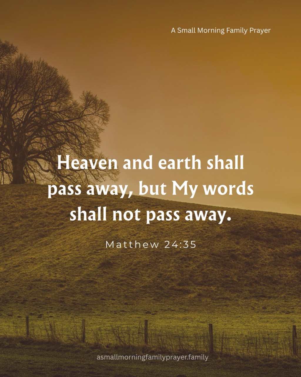 OUR LORD CARES FOR&nbsp;US.