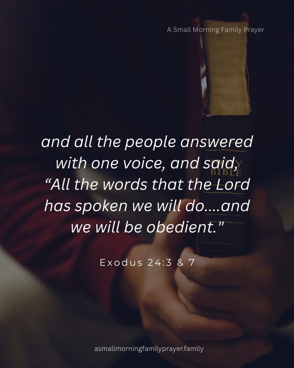 WE WHO ARE MANY ARE ONE BODY, FOR WE ALL PARTAKE OF THE ONE BREAD, WHICH IS JESUS&nbsp;CHRIST.