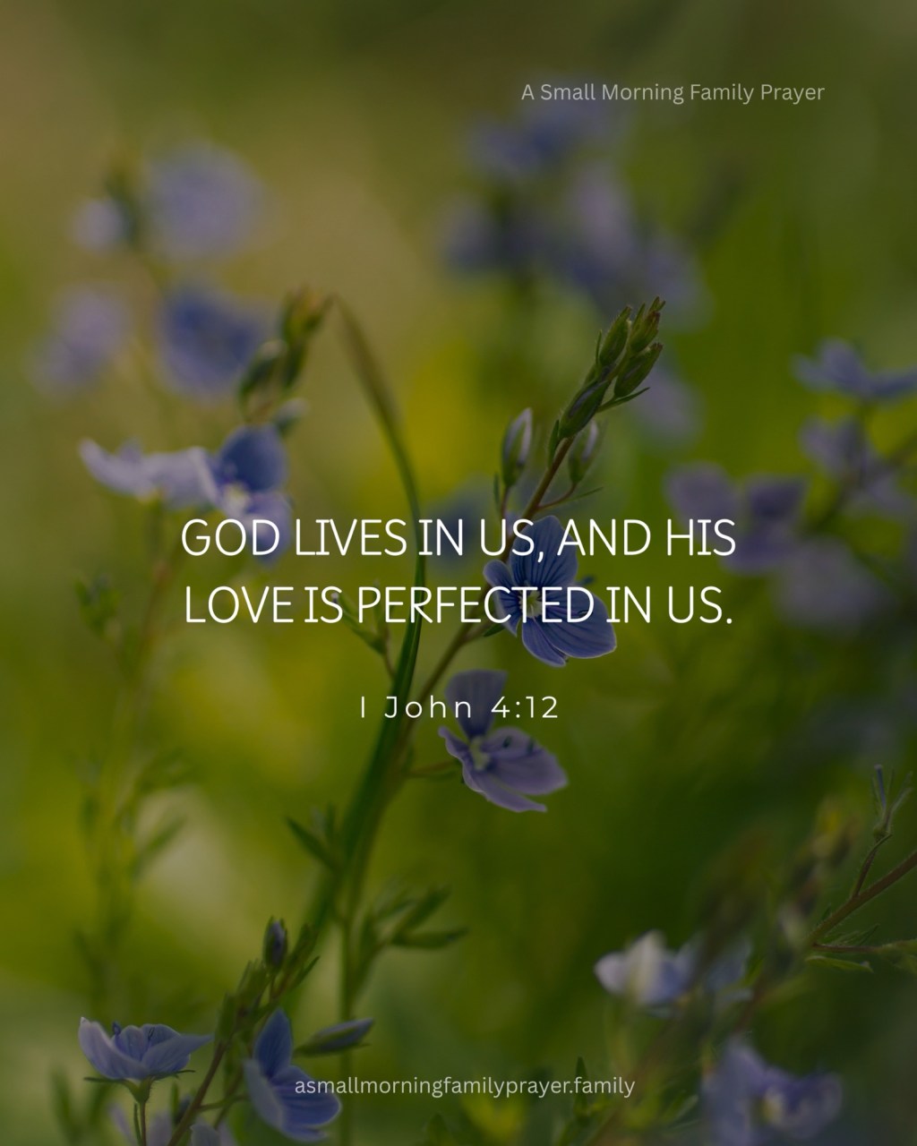 OUR LORD’S LOVE IS PERFECTED IN US. HE WILL NOT LEAVE US UNTIL HIS PROMISE IS&nbsp;FULFILLED.