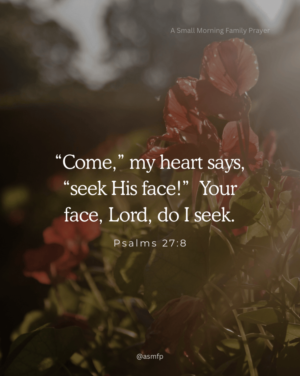 Our Lord is our Provider. Seek Him first and the Kingdom of God.